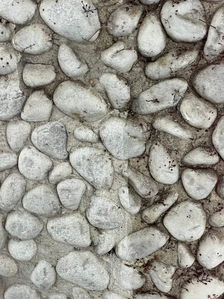 Foto 08.09.22 15 30 09