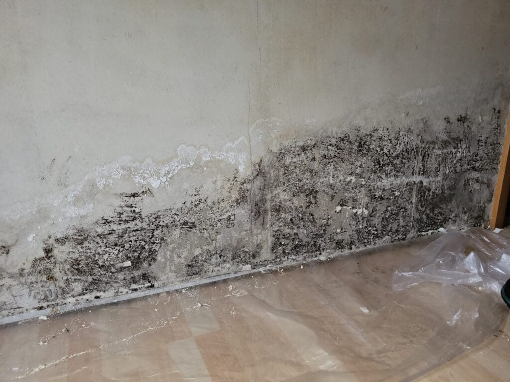 Foto 14.07.22 18 56 30 1