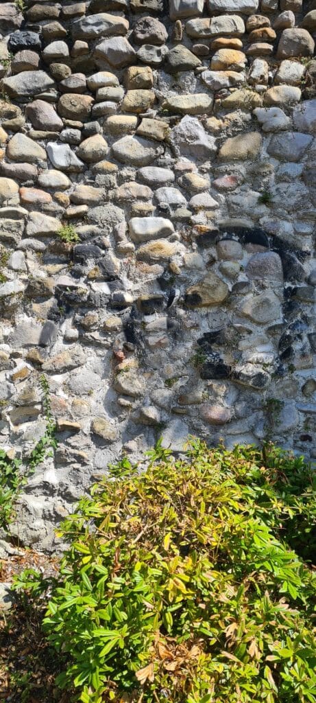 Foto 23.08.24 14 39 52 1